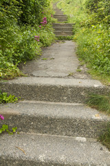 Concrete steps and overgrown uphill path.