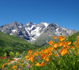 massif des écrins -la meije