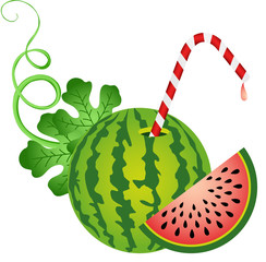 Watermelon with Straw