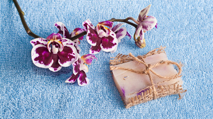Рink orchid and soap