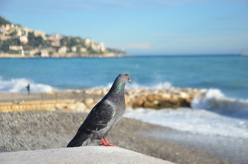 Nice, mer agitée