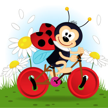 ladybug on bike - vector  illustration, eps