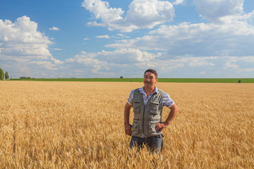 Naklejka na ściany i meble farmer standing in a wheat field
