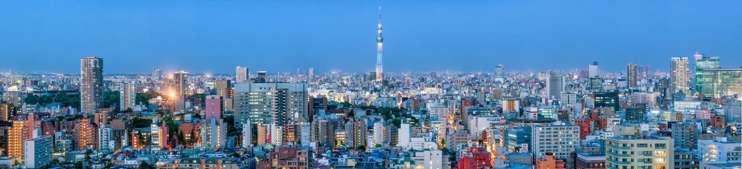 Deurstickers Tokio Panorama © eyetronic