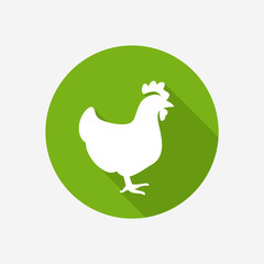 Chicken icon