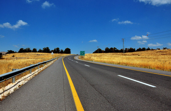 asphalt road and  wheat field