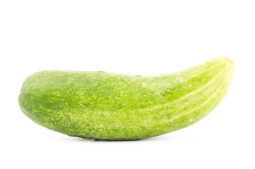 Fresh cucumber