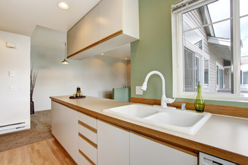 Simple mint kitchen interior in empty house