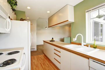 Simple mint kitchen interior in empty house