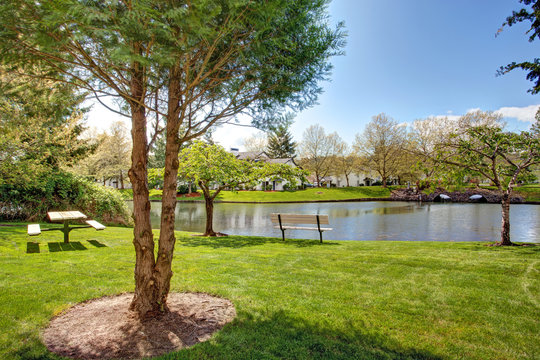 Residential complex backyard garden with pond, trees and sitting