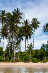 Obraz na płótnie Canvas Exotic tropical beach with white sand and blue waters