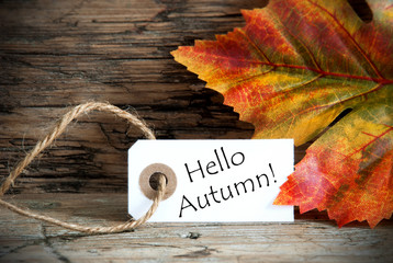 Tag with Hello Autumn © Nelos