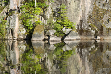 Rock Reflection