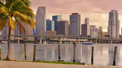Fototapeta na wymiar Golden Miami Skyline