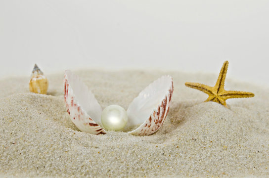 pearl in seashell in sand