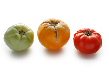 three tomatoes - red;green and yellow on white background