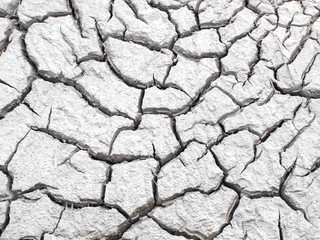 Barren ground horizontal