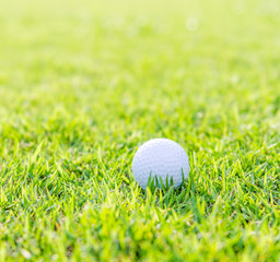 Golf ball on green grass