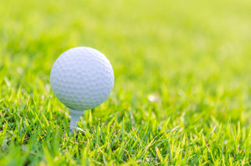 Golf ball on green grass