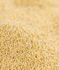 Millet Background