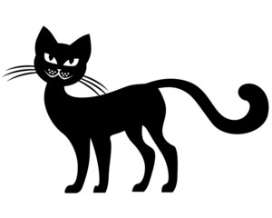 Silhouette  black cat