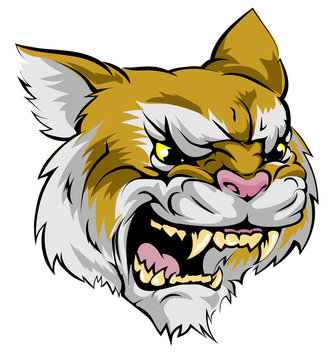 Wildcat mascot character