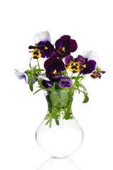 Fototapeta na wymiar Beautiful pansies in transparent vase isolated on white backgrou