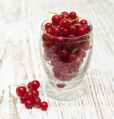 Redcurrant