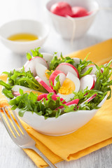 healthy salad with egg radish and green leaves