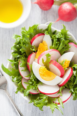 healthy salad with egg radish and green leaves