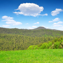 Fototapeta premium Spring landscape in Bavarian Forest National Park - Germany