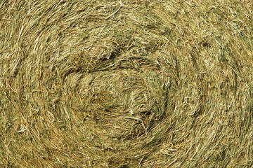 Huge bales of straw