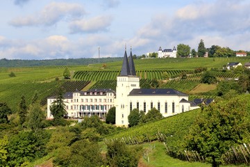 Vorne Kloster Johannisberg, hinten Schloss Hansenberg (September 2013)