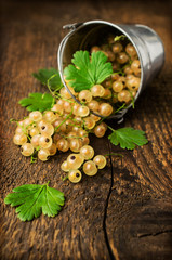 white currants in a small bucket