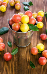 Cherry-Plums in a small bucket