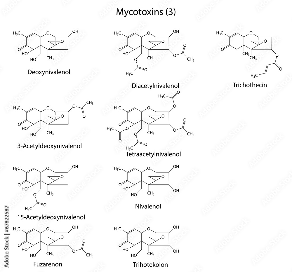 Canvas Prints Structural chemical formulas of B-type mycotoxins