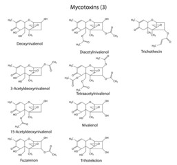 Fototapeta na wymiar Structural chemical formulas of B-type mycotoxins