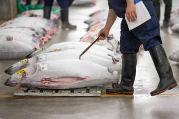Naklejka premium Tsukiji Fischmarkt w Tokio