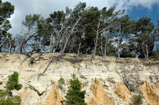 Leucate &eacute;rosion 1