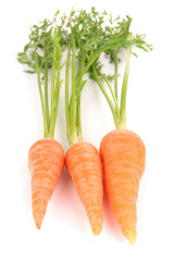 Fresh carrot with leaves isolated on white