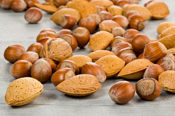 noisettes , amandes et noix