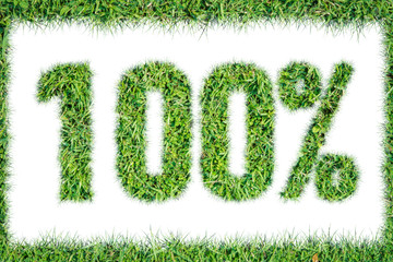 Fototapeta na wymiar 100 percents symbol green grass isolated