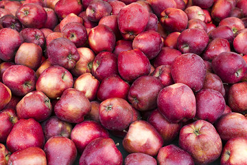 Many fresh red apple in a pile