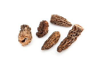 morels dried closeup