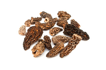 morels dried closeup
