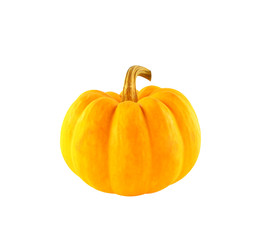 Fancy yellow and orange pumpkins White background