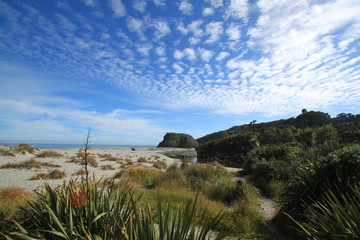 plage de Nouvelle-Zélande