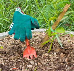 Red fork and green gloves in the garden