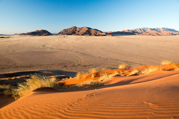 Fototapeta na wymiar Ascension de la Dune Elim en Namibie