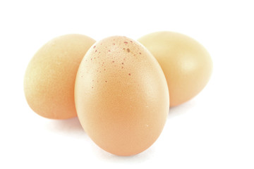 Egg on a white background